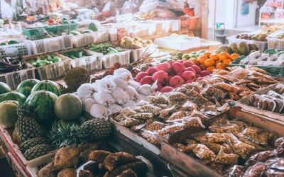 CibleS porte un projet d’application mobile en faveur de l’autonomie alimentaire locale