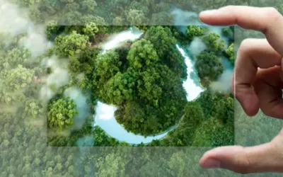 Faire de son impact environnemental un levier de transparence client